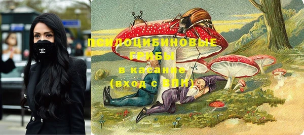 стаф Алексин