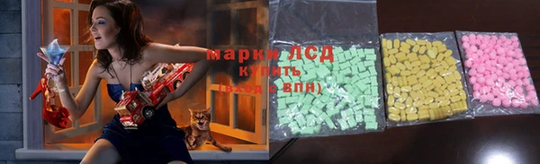 стаф Алексин